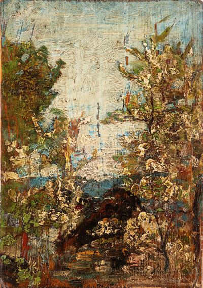 Paesaggio Vigezzino