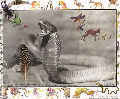 Spitting Cobra, Tsavo - Stampa successiva alla gelatina ai sali d'argento, collage e gouache