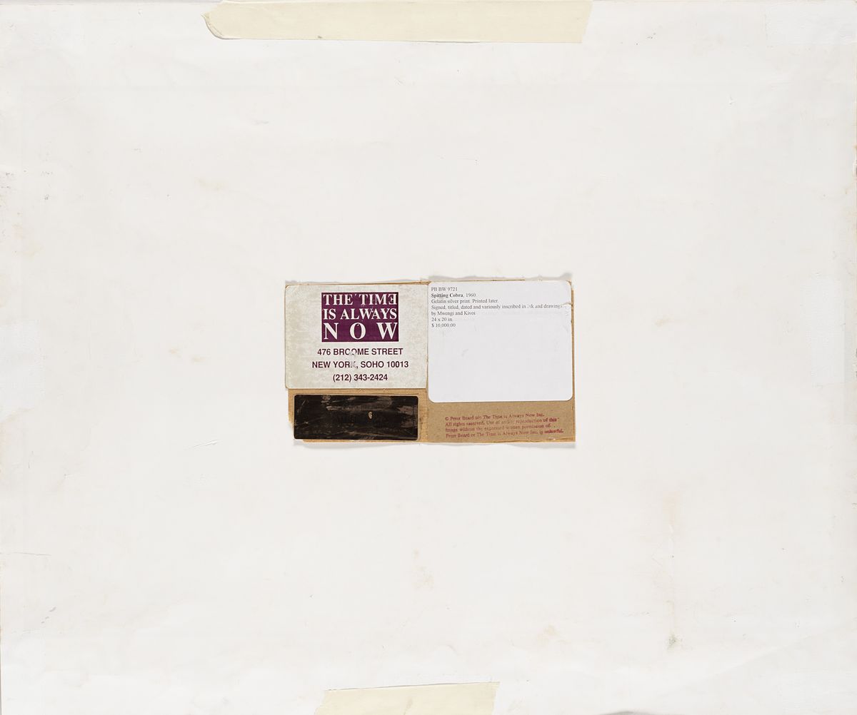 Peter Beard - Spitting Cobra, Tsavo - Stampa successiva alla gelatina ai sali d'argento, collage ...