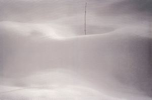 Kiarostami Abbas - Untitled, from the series 