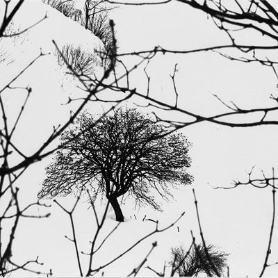 Senza Titolo (neve)