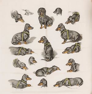 Hermès - Foulard Bassets