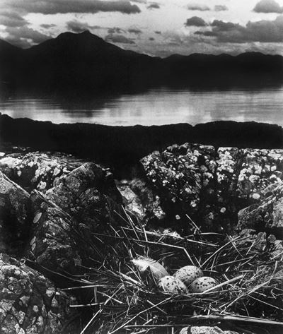 Gull’s Nest, Late on Midsummer Night, Isle of Skye, Stampa ai sali d'argento, 1947