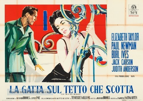 La gatta sul tetto che scotta