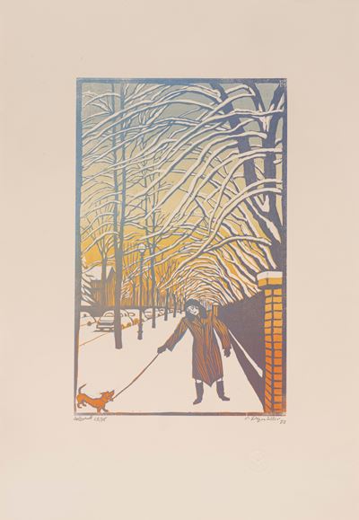 Passeggiata nella Neve