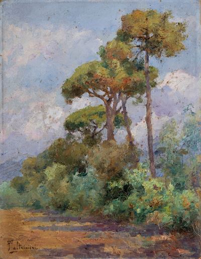 Pineta di Viareggio, olio su cartone telato