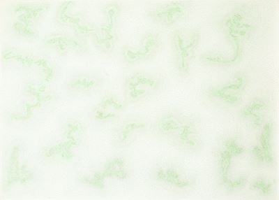 Costellazioni