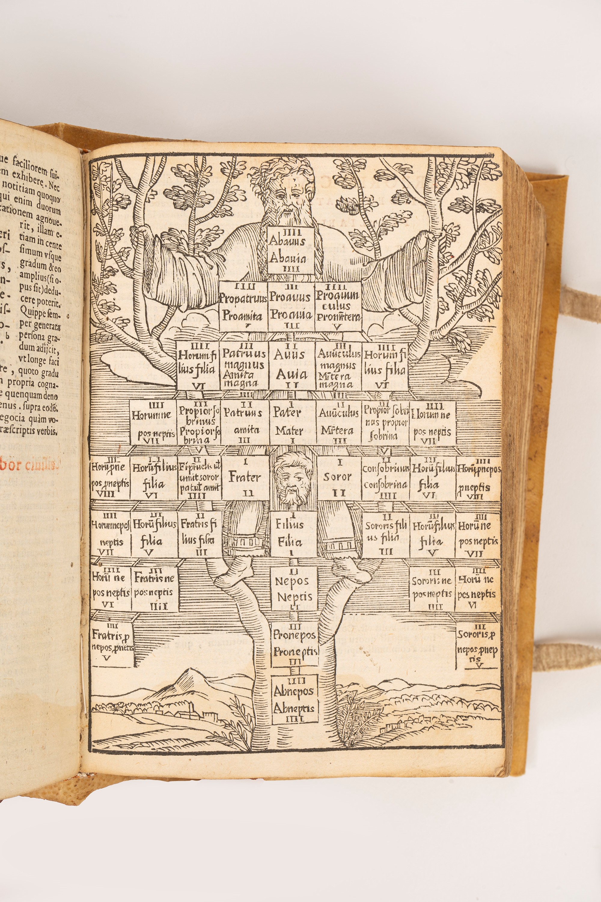 Institutiones Iuris Civilis