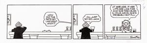 Andy Capp