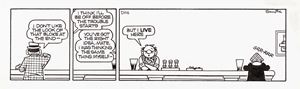 Andy Capp
