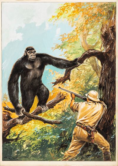 Il Vittorioso - Caccia al Gorilla