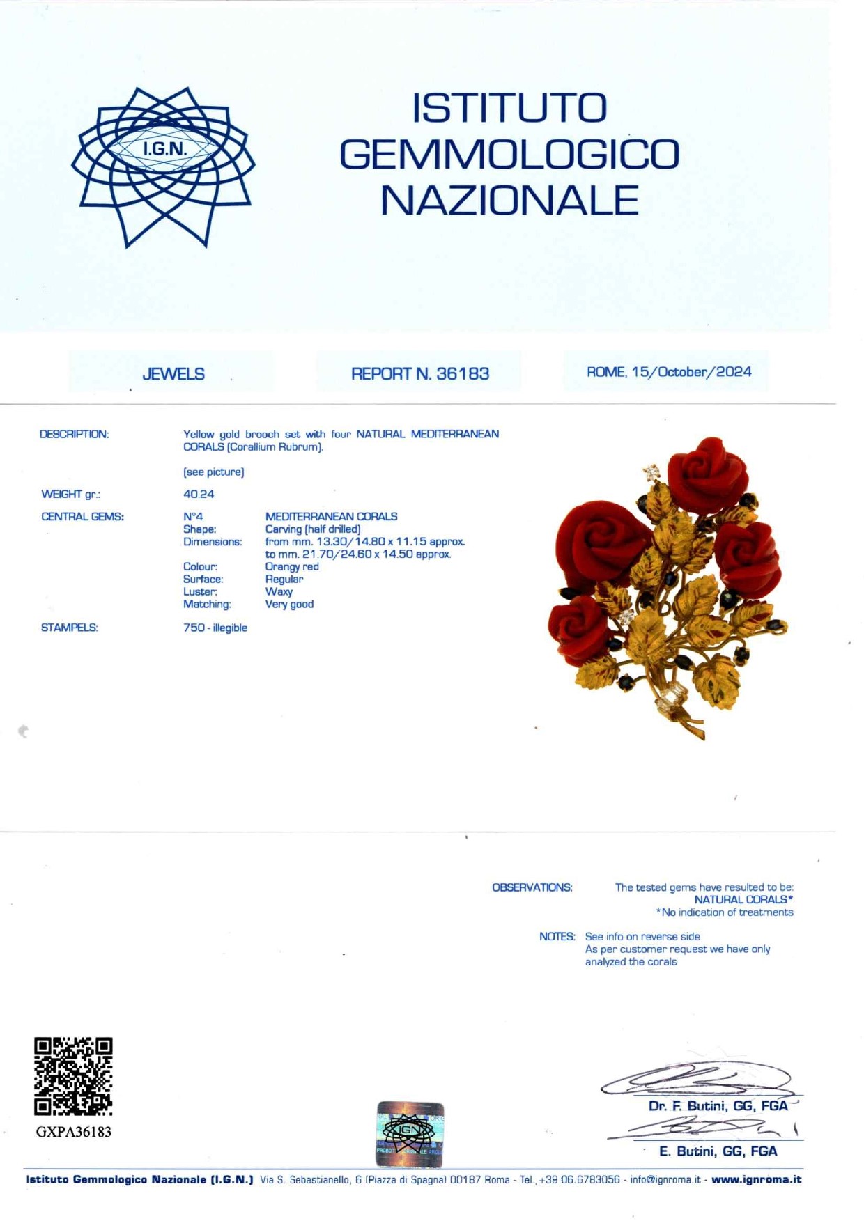 Spilla con Corallo