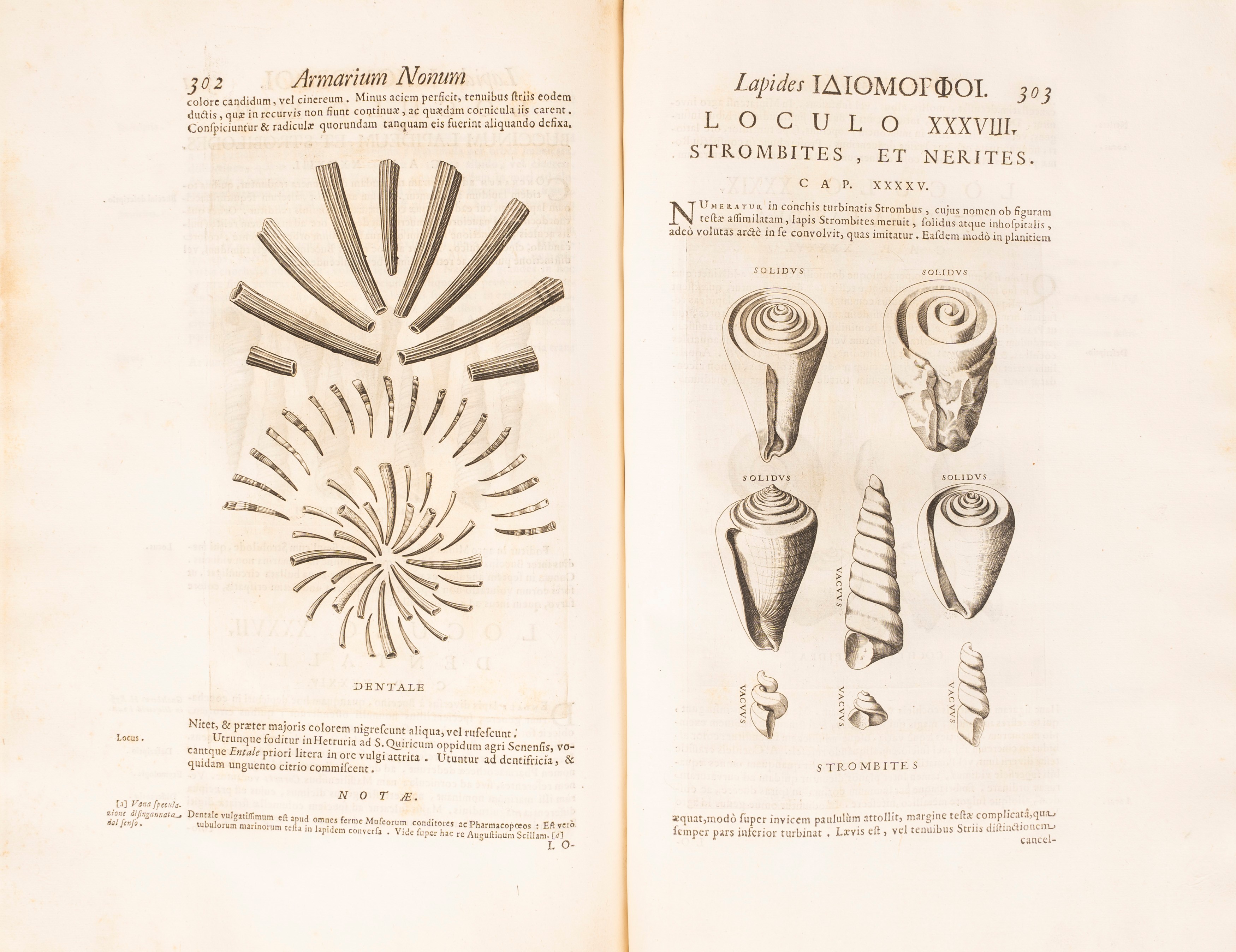 Mercati, Michele - Metallotheca Opus Posthumum