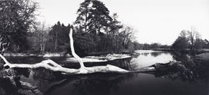 Trout pool, waterfall Wales