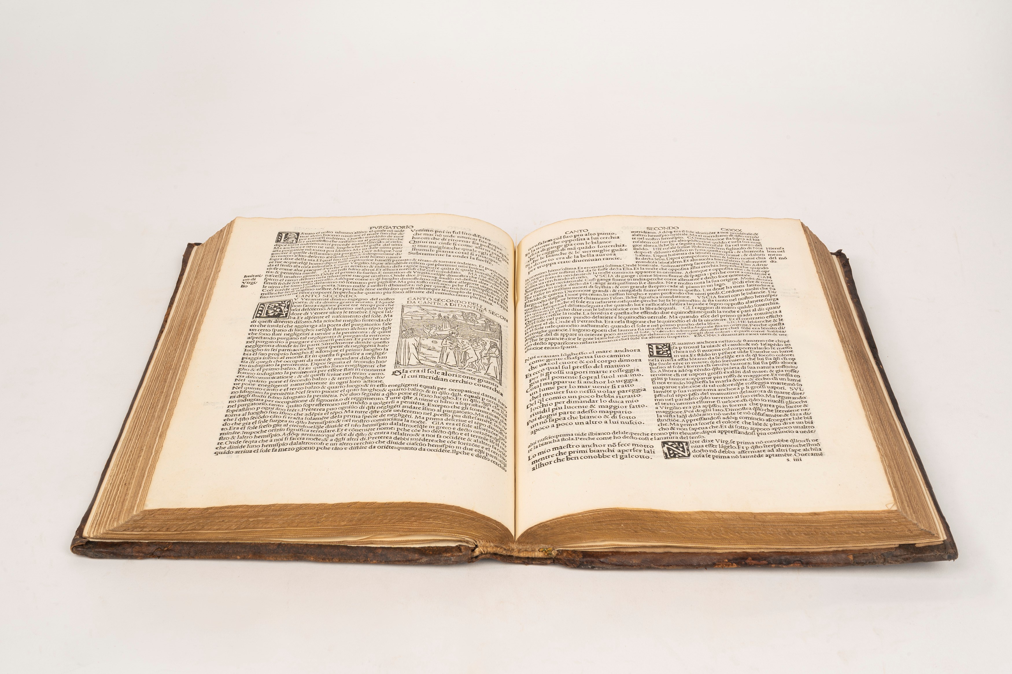 Danthe alighieri fiorentino historiado.