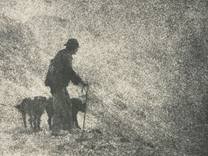 Il pastore nella tormenta