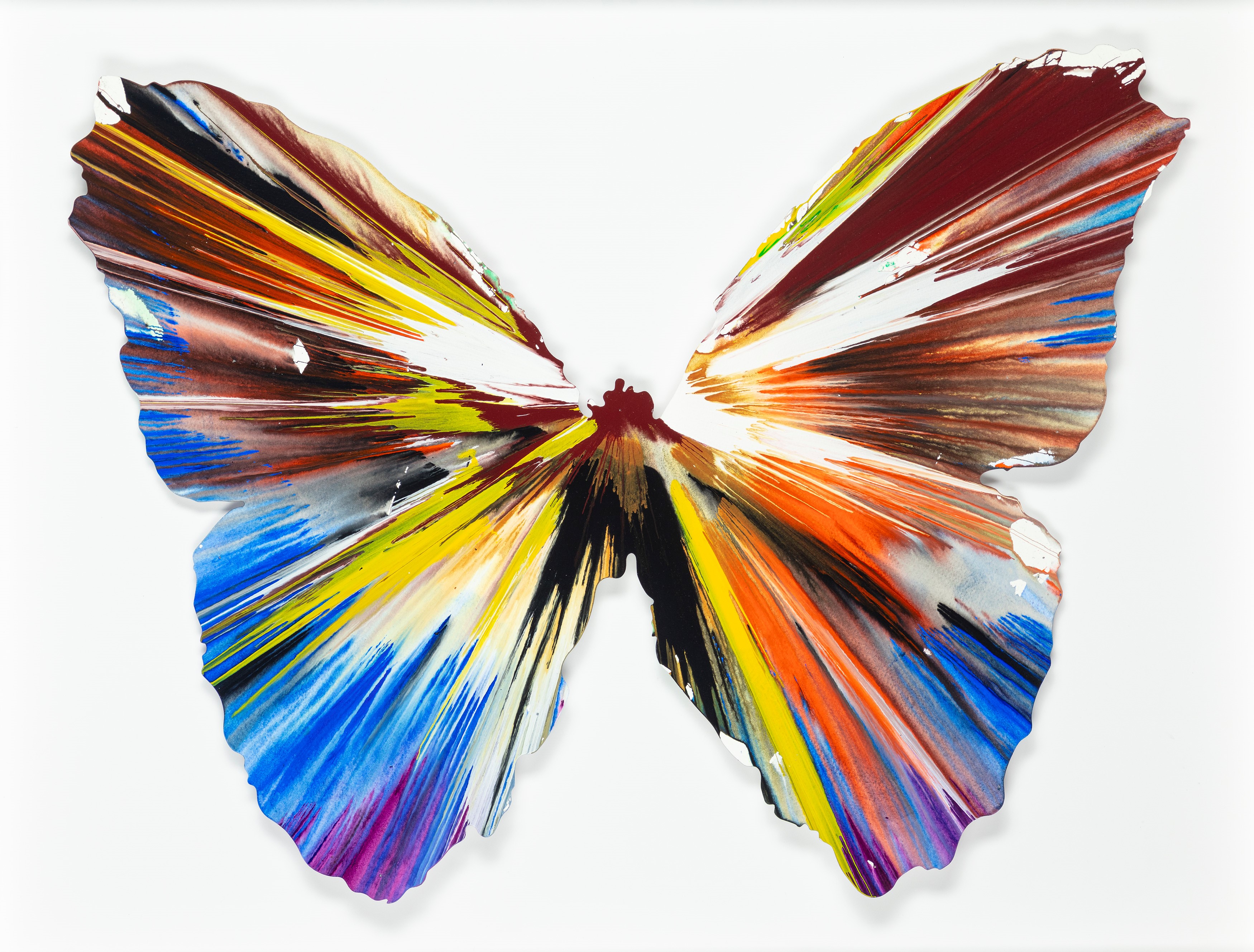 Damien Hirst - Butterfly Spin Painting 2009 | Arte Moderna e ...