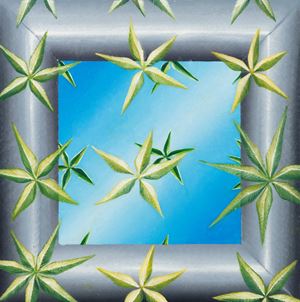 Speculare su l'indiana