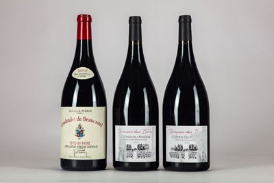 Famille Perrin Domaine De Castel Coudoulet Cotes Du Rhone Magnum 2017
