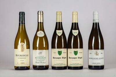 Selezione Borgogna Bianco (5 Bt)