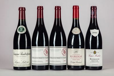 Selezione Borgogna Rosso (5 Bt)