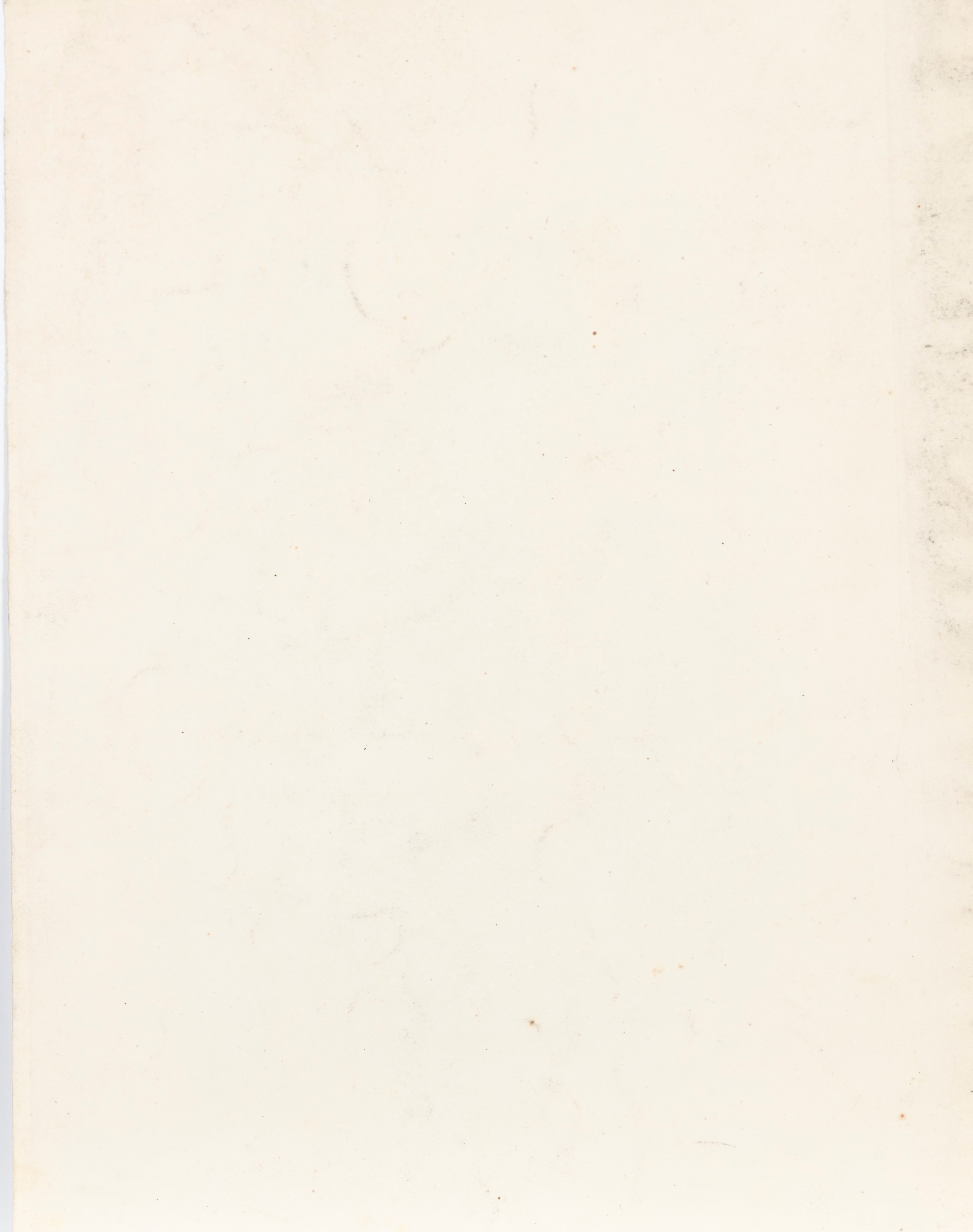 Giuseppe Bertini - Ritratto femminile, matita e sfumino su carta