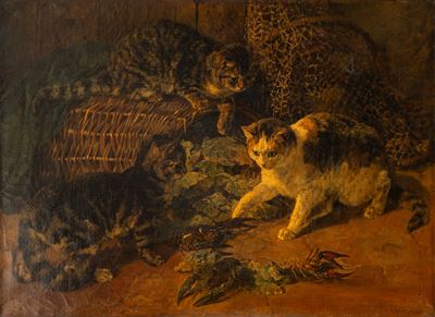 Gatti curiosi, olio su tela