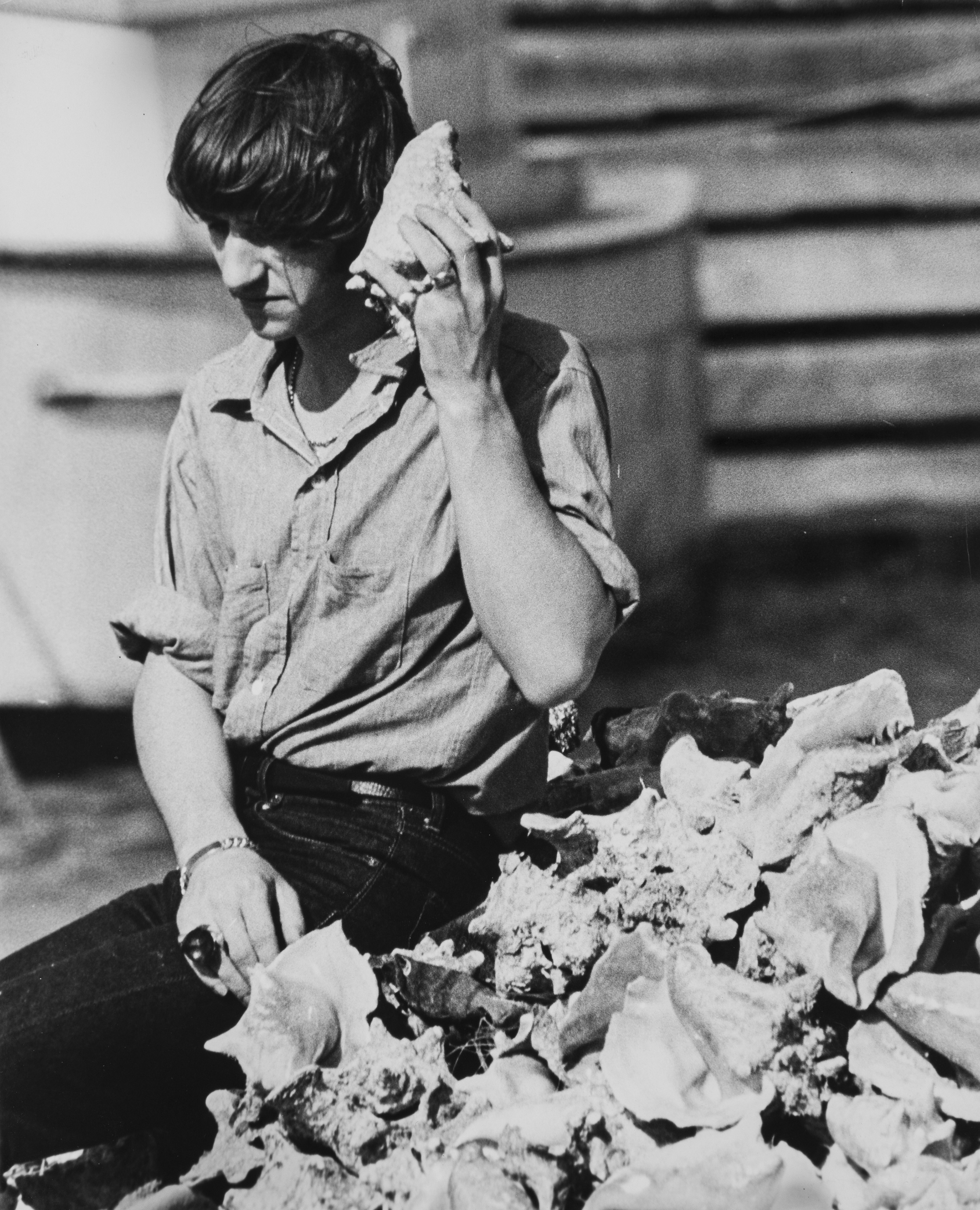 I Beatles e altri gruppi musicali