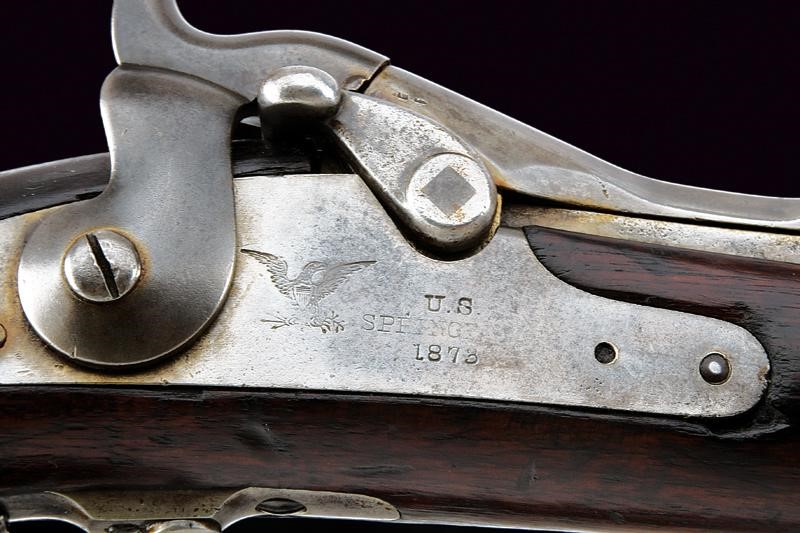 Raro e interessante Model 1873 Trapdoor Carbine "Custer Range"