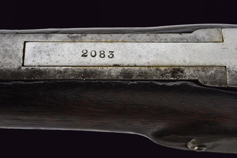 Rara carabina Merrill