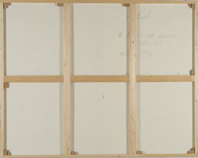 Insetti, 1990, tecnica mista
