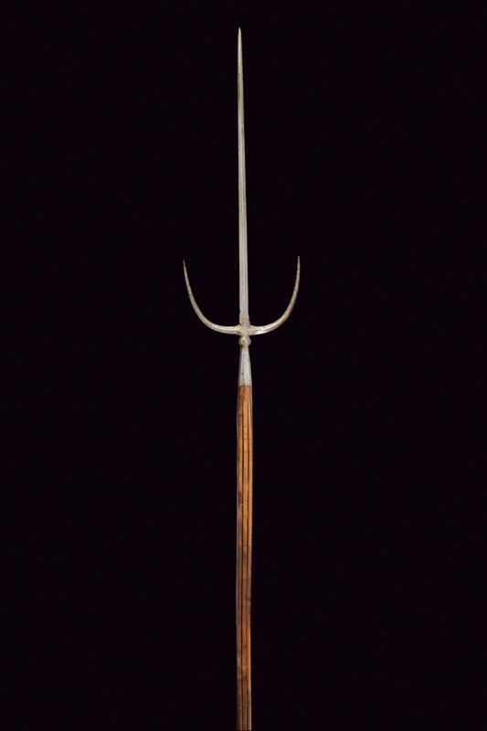 Brandistocco