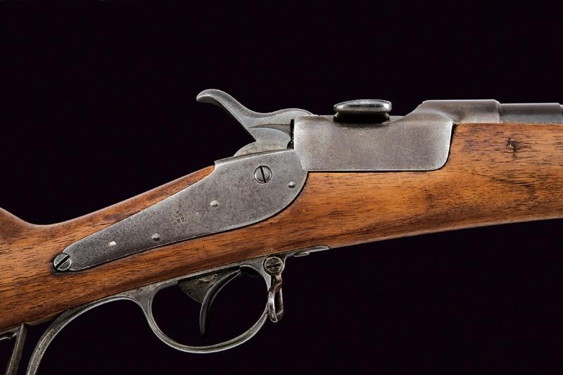 Carabina Werndl Mod. 1873/77