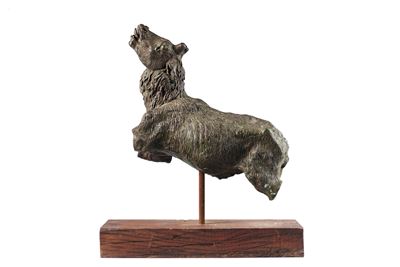 Capriolo