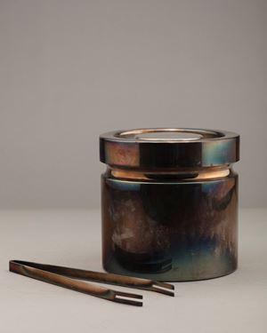 Portaghiaccio con coperchio e pinza