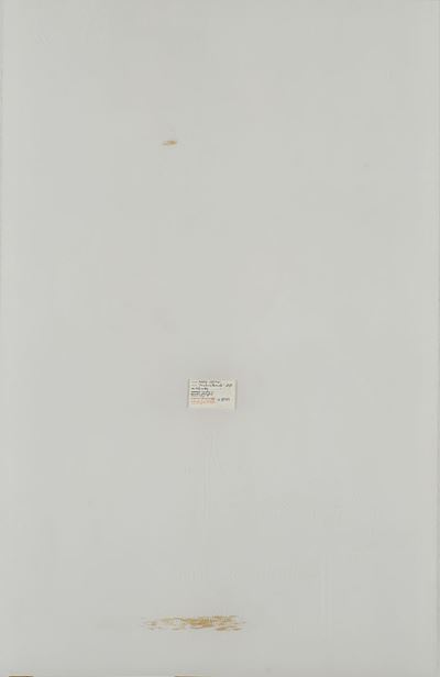 Ininterrottamente, 1975 - acrilico su plexiglass su carta
