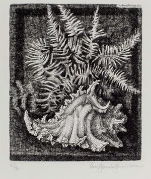 Shell and fern