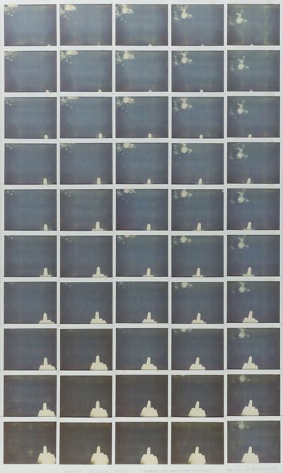 Tribute to Maurizio Cattelan (2010), composizione di 50 polaroid