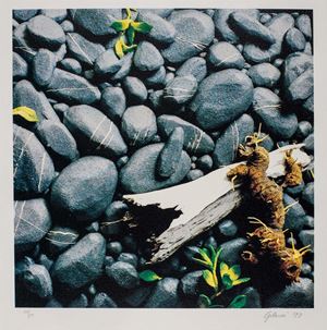 Gilardi Piero - Rocks