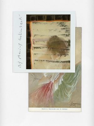 Bacio il tricolore che tu difendi <sup>i</sup>