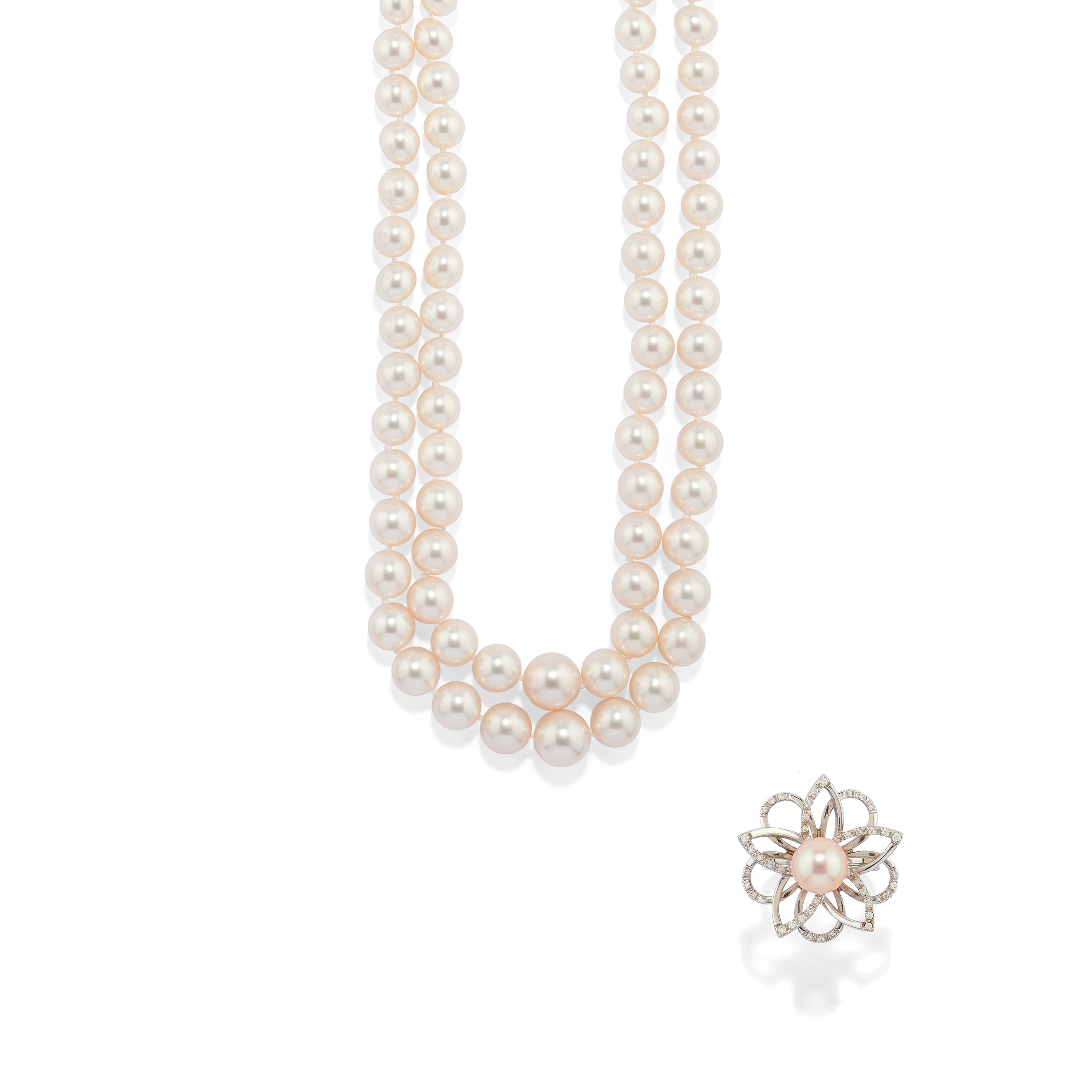 Collana Filo di Perle AKOYA 5 - 5.5 mm con chiusura con diamante | .i