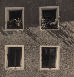 Senza titolo (Finestre)