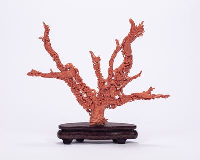 Corallo Intagliato. Cina, Inizi Secolo XX