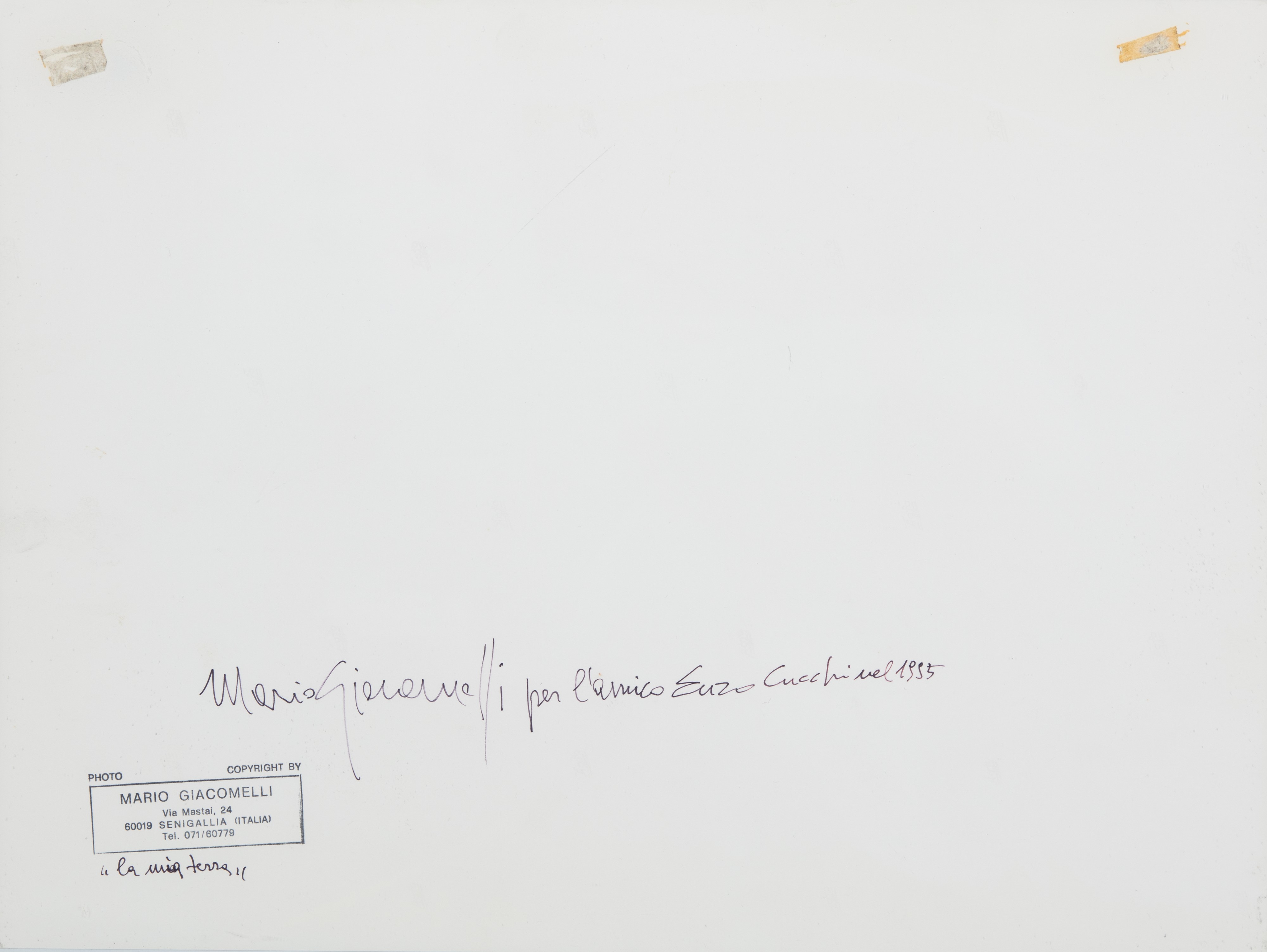 Presa di Coscienza sulla Natura ; Mario Giacomelli e Enzo Cucchi