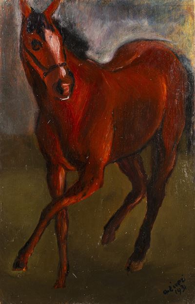 Cavallino