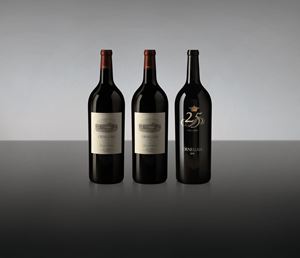 Tuscany - Tuscany - Super Tuscan