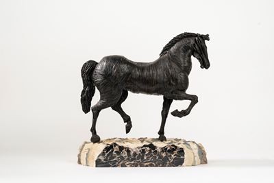 Cavallo