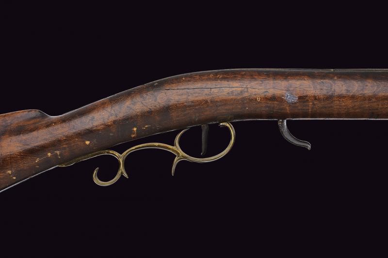 Fucile D. Knight a luminello