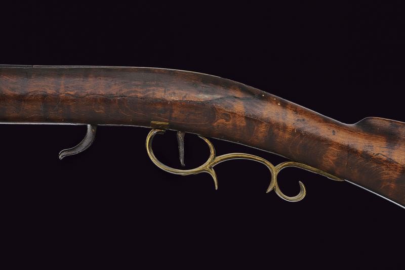 Fucile D. Knight a luminello