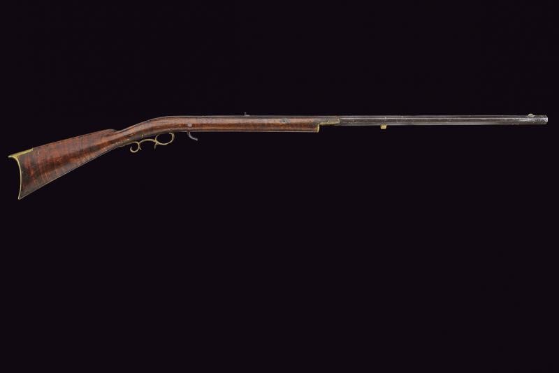 Fucile D. Knight a luminello